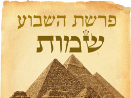 Toute l’équipe d’AshdodCafé vous souhaite «Shabbat Shalom», date, horaires, paracha