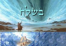 Toute l’équipe d’AshdodCafé vous souhaite «Shabbat Shalom», date, horaires, paracha