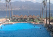 C.A.F.A.I. et le Matnas Safra Ashdod – les activités du mois de février 2026