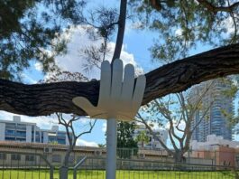 Que signifient ces mains blanches sur les arbres à Ashdod ?