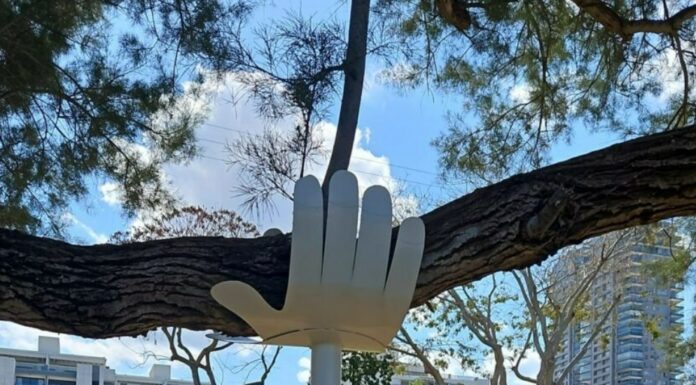 Que signifient ces mains blanches sur les arbres à Ashdod ?