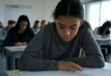 Éducation en Israël : 70 % de participation à l’enseignement à distance, 57 % de présence dans les zones ouvertes
