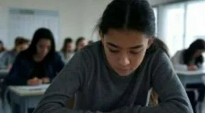 Éducation en Israël : 70 % de participation à l’enseignement à distance, 57 % de présence dans les zones ouvertes