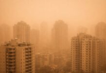 Rafales de vent jusqu’à 85 km/h à Ashdod : une journée particulièrement agitée