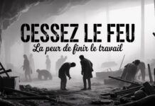 Assez de cessez-le-feu : Israël a le droit de neutraliser ceux qui veulent sa mort Par Rony Akrich