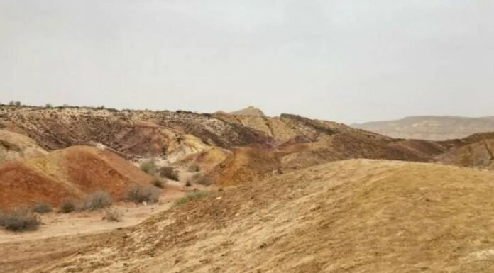 Israel – Une révolution au cœur du désert : des milliers de nouveaux logements et une oasis touristique moderne en préparation