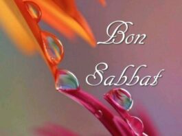 Toute l’équipe d’AshdodCafé vous souhaite «Shabbat Shalom» – date, horaires, paracha