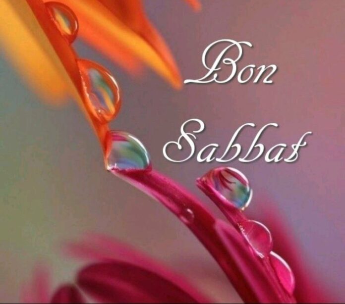 shabbat shalom fleur