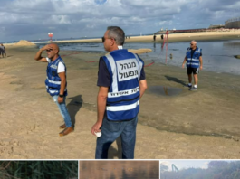 Nahal Lachish : des centaines de milliers de poissons et d’animaux sauvés après les premières pluies