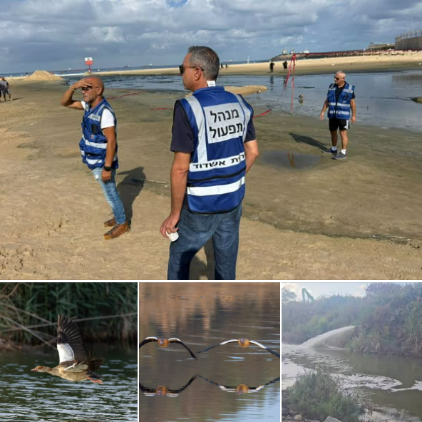nahal lakhish protection du fleuve