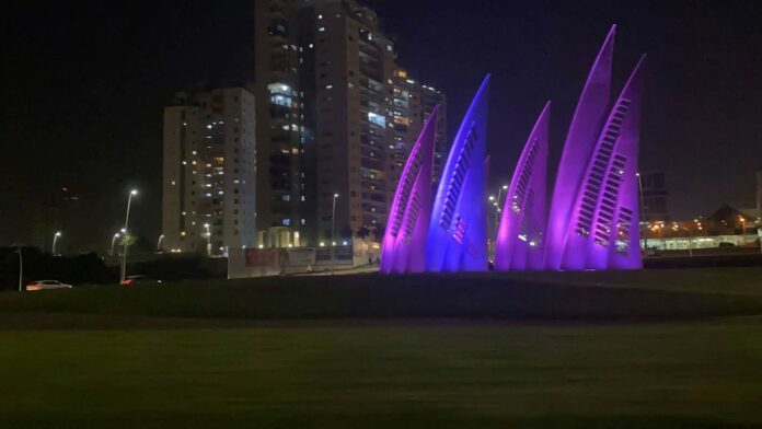 rond point des voiles nuit en rose campagne cancer