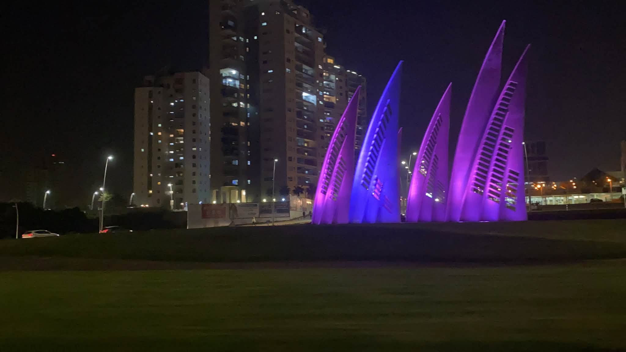 rond point des voiles nuit en rose campagne cancer